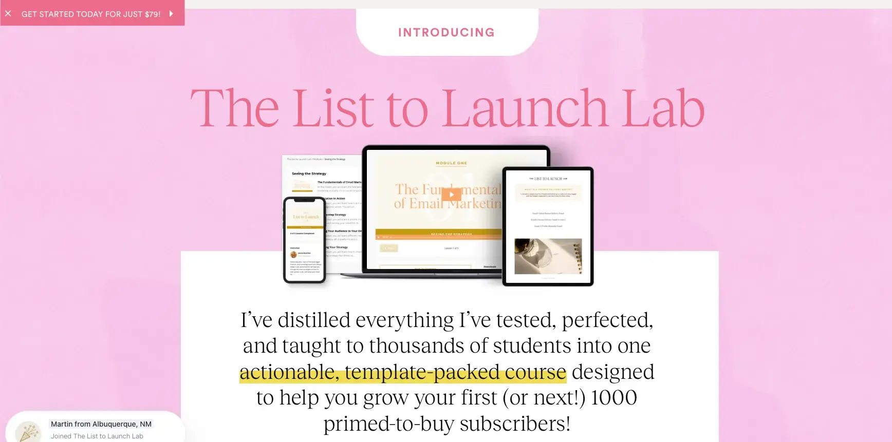 freebie marketing, list to launch course