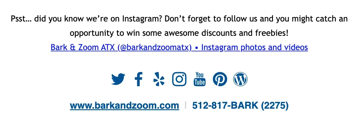 how to get more instagram followers: share your profile link in your email newsletter.